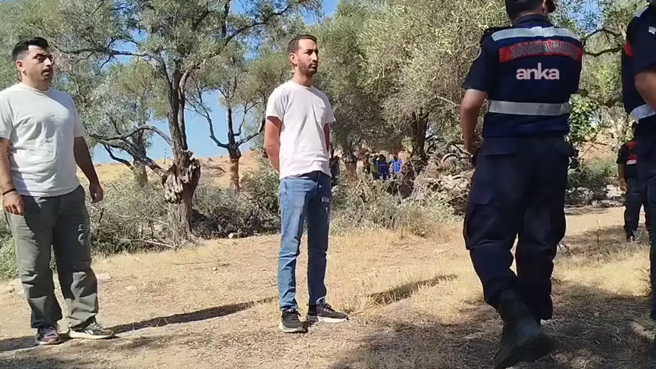 akbelende zeytin kiyimi danistaydan acil yurutmeyi durdurma istendi fFUCFIMI