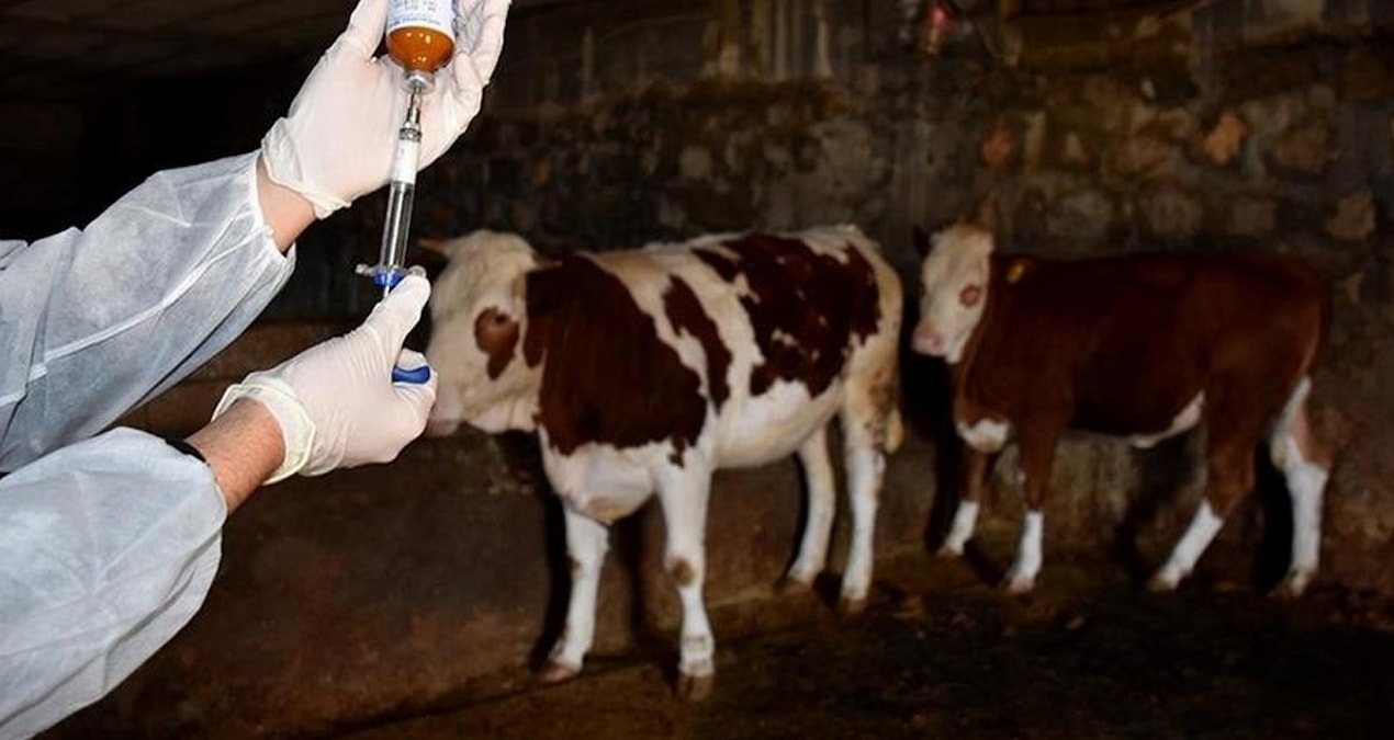 bir sehir sap alarmina gecti 43gFI3VV