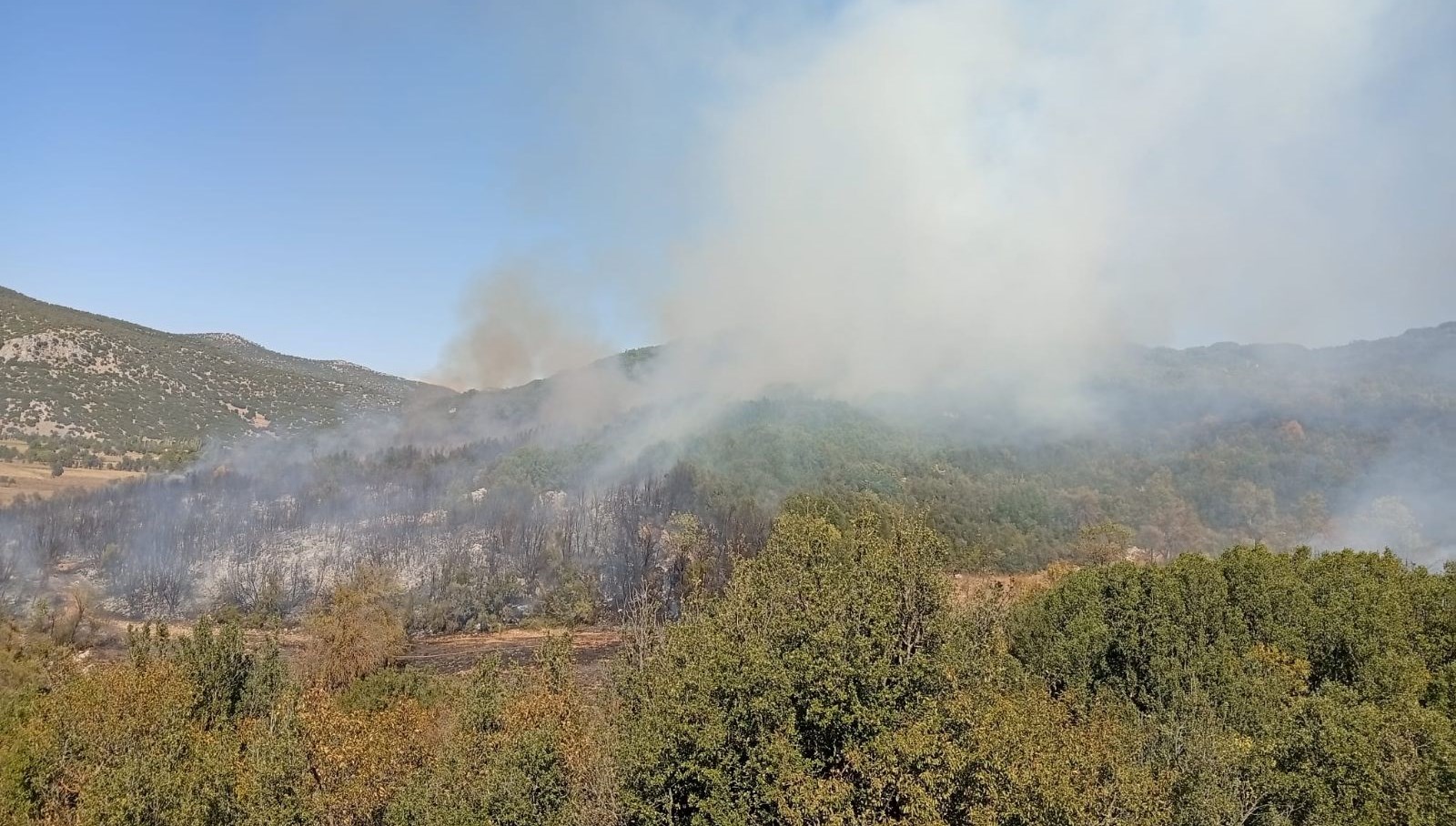 burdurda orman yangini ekipler olay yerinde bVC2zd8J