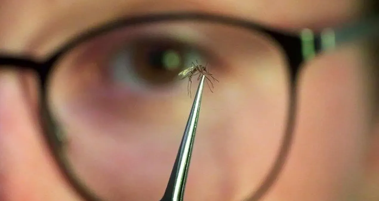 cinde yayilmaya baslayan salgin dunyayi endiselendiriyor 3SwvWmZZ