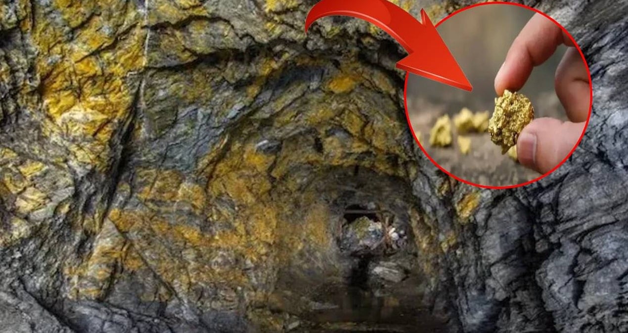 devasa altin rezervi bulundu harita paylasildi tum bolge kulce altinla dolu xtQeg7gF