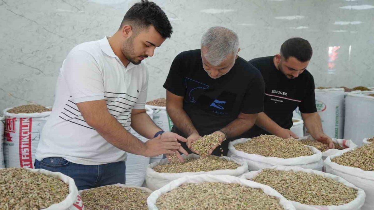 yesil altina izin cikti fiyatlar ve satislar dustu kxgA2Kne