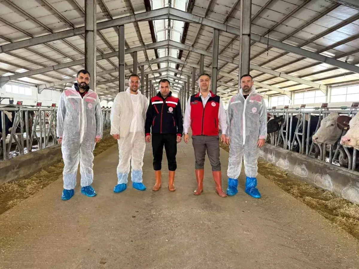 afyonkarahisarda yeni hastaliktan ari isletme sertifikasi aHrwmu42.jpg