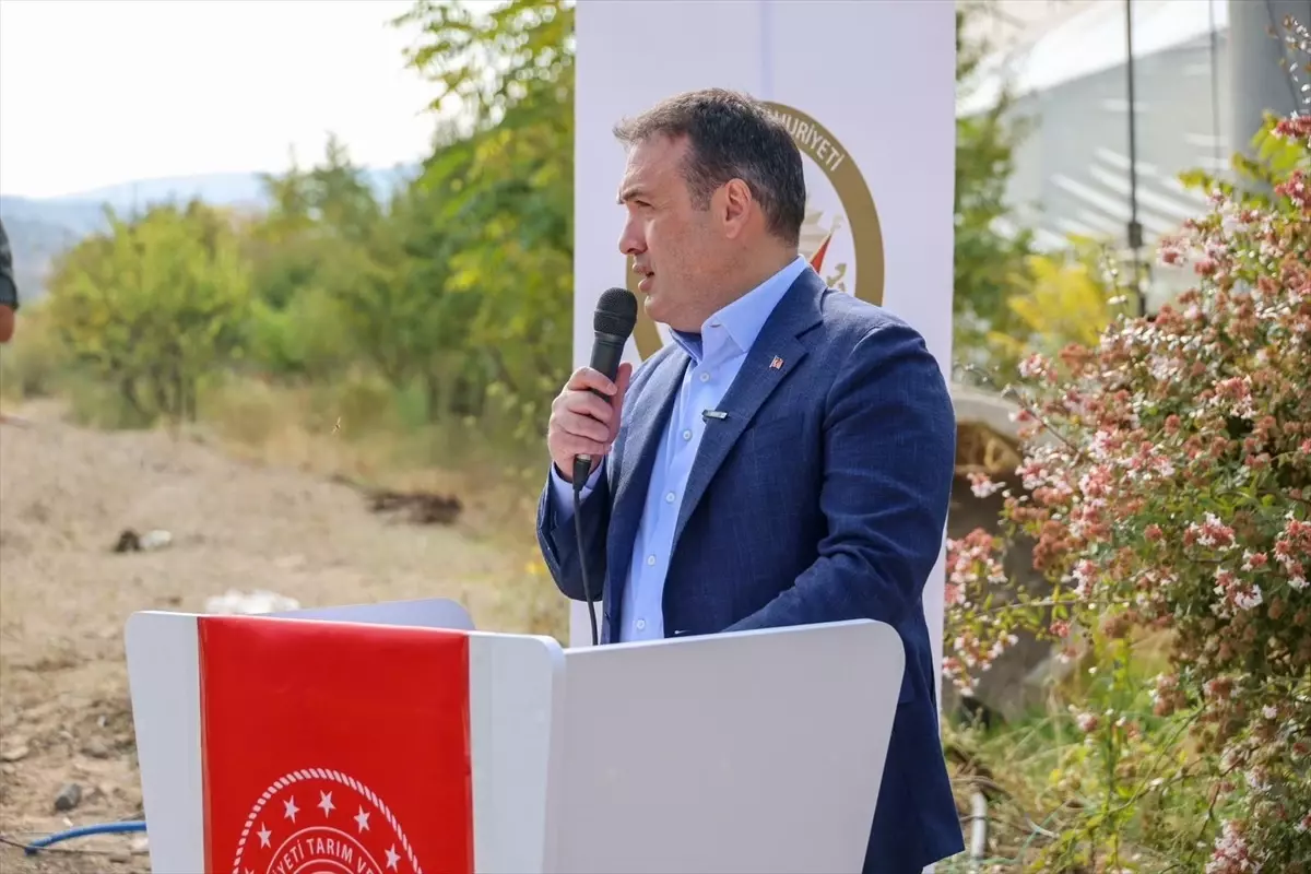 bilecikte ciftcilere marul fideleri dagitildi gr5Otl5i.jpg