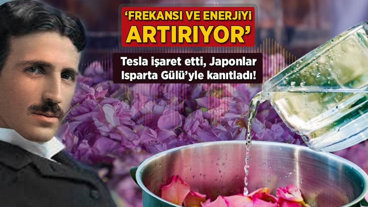 tesla isaret etti japonlar isparta guluyle kanitladi frekansi ve enerjiyi artiriyor bZfG7Ybz.jpg