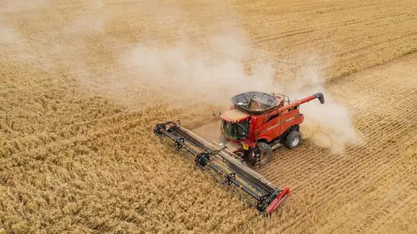 tuik verileri aciklandi meyve ve tahilda buyuk uretim dususu bekleniyor Z4VEQ3VP.jpg